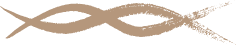 Core Energy Belt Logo